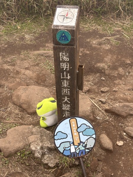 陽明山東西大縱走-東段