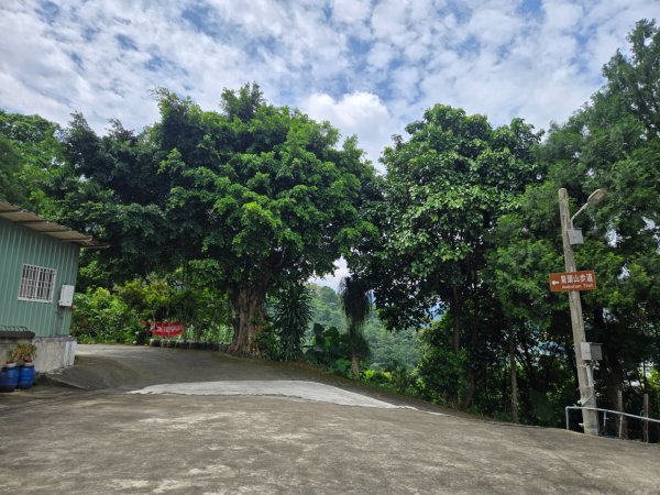 埔里觀音瀑布、天旨宮鰲頭山步道3093802