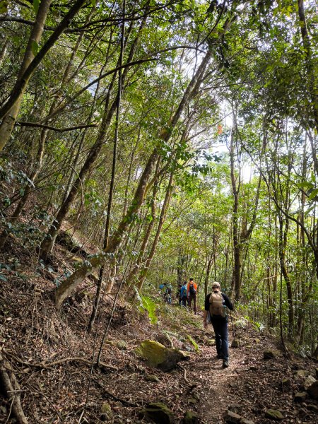 2026-01-18 埔里關刀山2989576