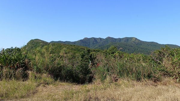 貢寮區三貂角燈塔+萊萊越嶺古道+萊萊山+萊萊三叉峰+吳家古厝+舊草嶺隧道北口+福隆車站3001124