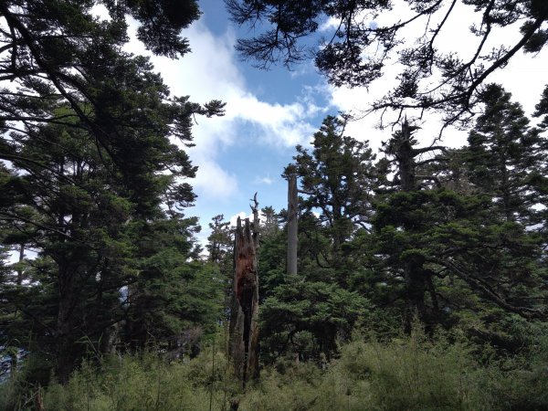 20230723塔關山2232891