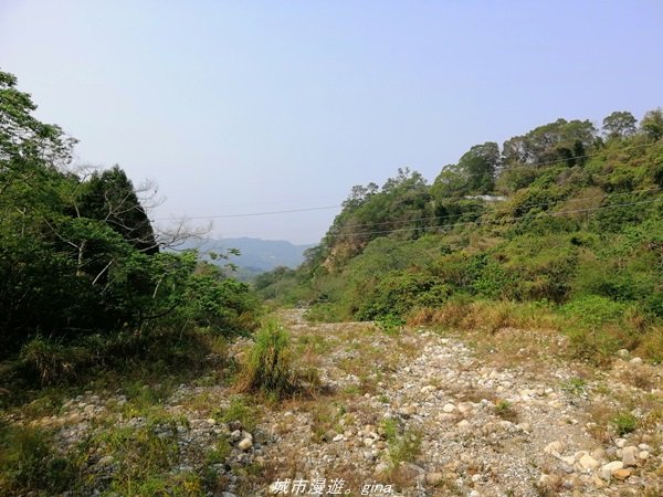 【台中。北屯】台灣百大必訪步道。 大坑四號步道1338771