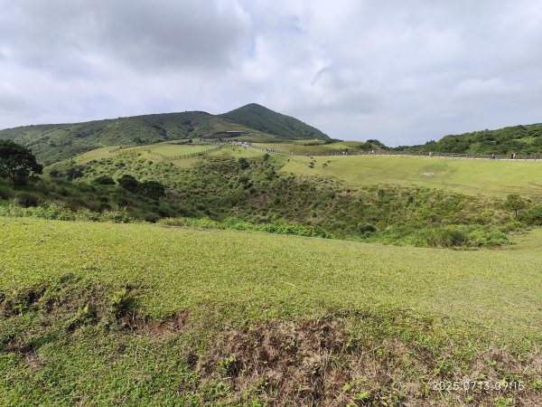 擎天崗→石梯嶺→頂山→風櫃嘴→天溪園→聖人橋【任務二 2025臺北大縱走 3+4】2836575