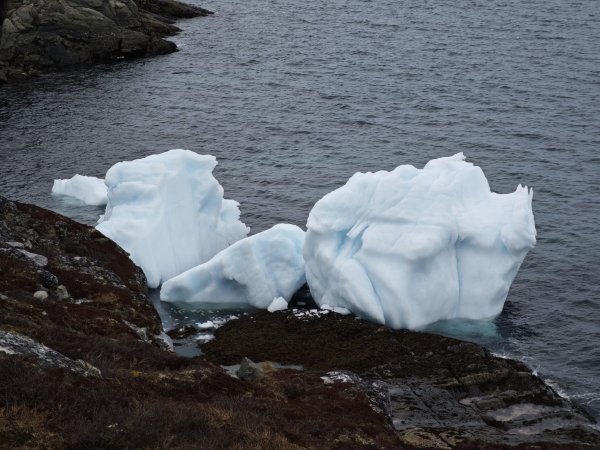 [紐約馬之行-48] 2025_1108 努克環狀步道 5/52951676