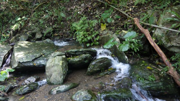 三訪跑馬古道登山健行趣（淡蘭南路TK3-10）1517781