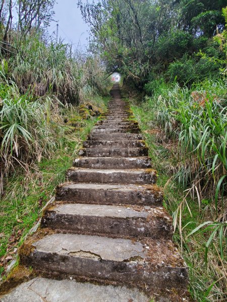 阿里山大塔山899535