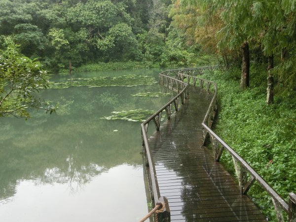 福山植物園690976