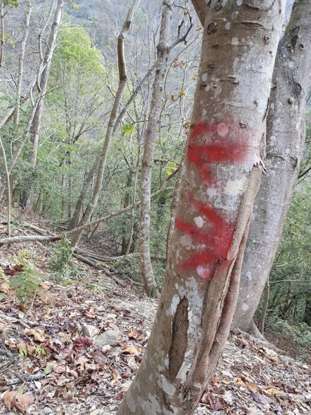 【丹大林道】卡社山&拉夫郞山西北峰1310467