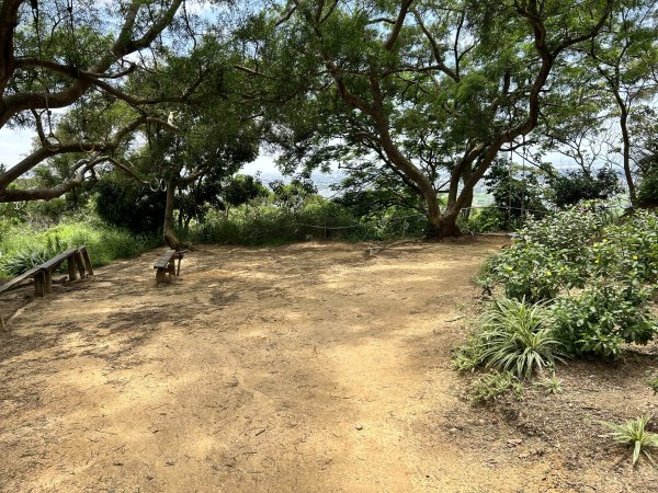 鳳崎落日步道2799188