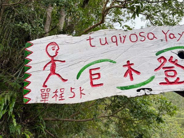 司馬庫斯巨木群登山步道2862135