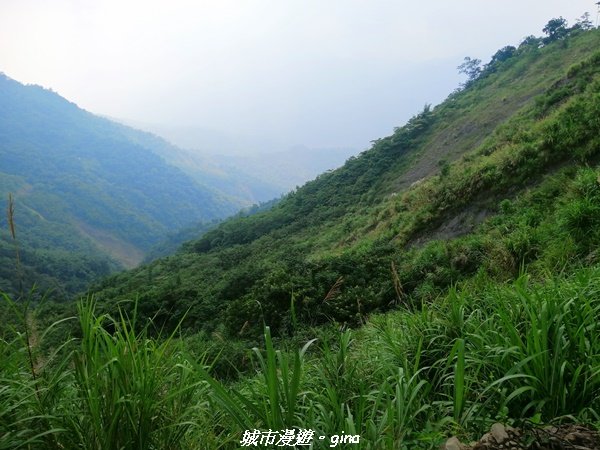 【台南。南化】開車比爬山還辛苦。小百岳集起來。編號66小百岳~西阿里關山1473559