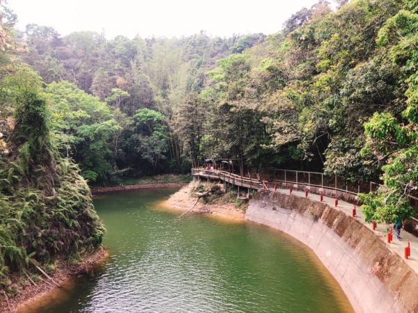 頭社水庫生態步道317058