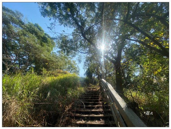 頭屋南山O型路線 (隘寮崠步道)2711204