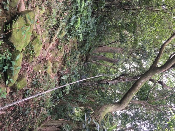 赤柯山、東獅頭山2748535