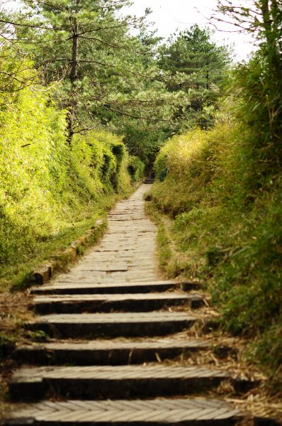 東埔山大草原步道838735