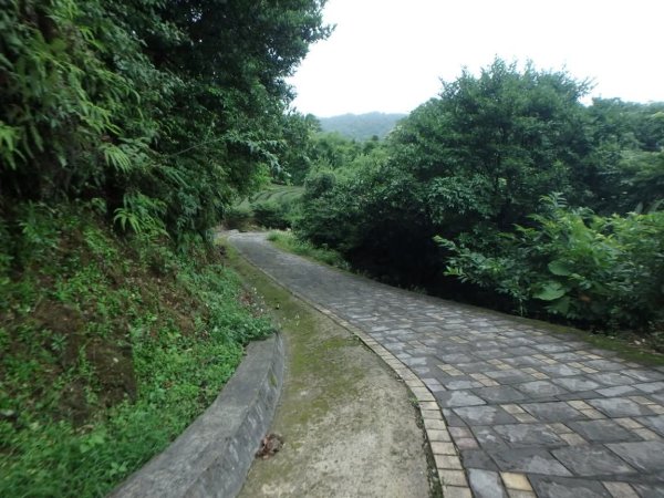 1070614茶山步道3099463