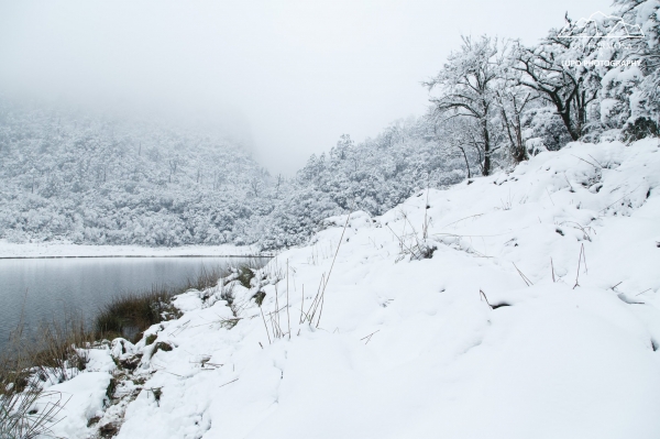 【攝野紀】夢幻般的雪中松蘿湖264532