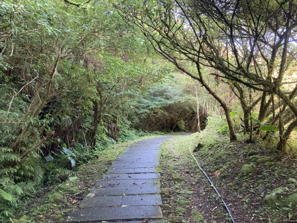 五分山登山步道2373506