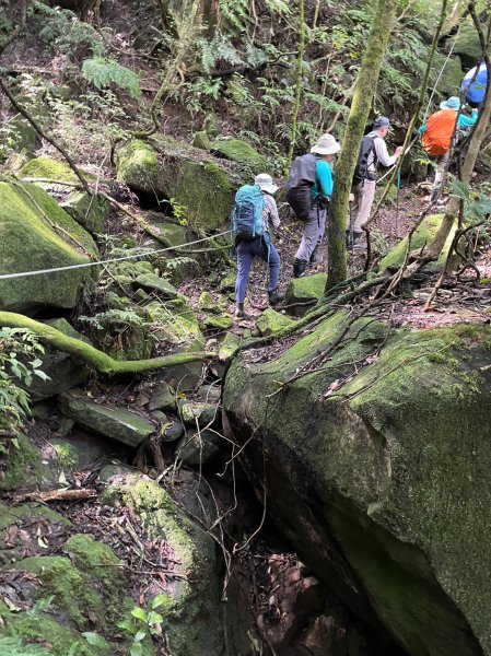 竹篙山山腰古道2204072