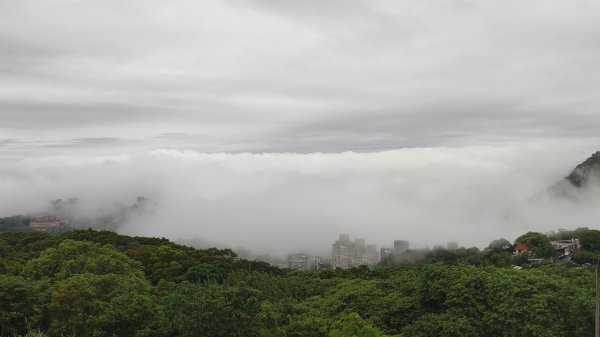#文化大學 #雲海 #琉璃光 #陽明山秘境 4/253042456