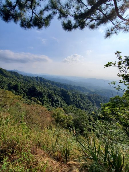 台中大坑頭嵙山698002