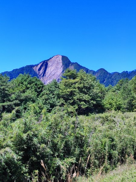 佳陽山2294106