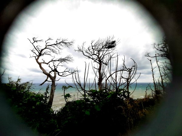 琅嶠卑南古道2700547