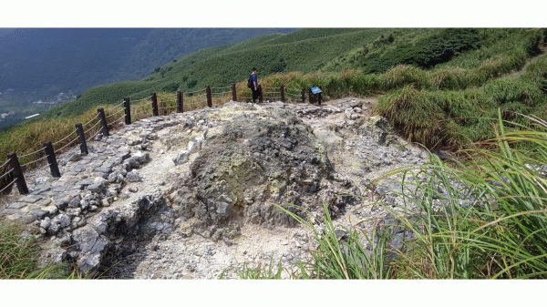 小油坑上七星山(原路折返)1443321