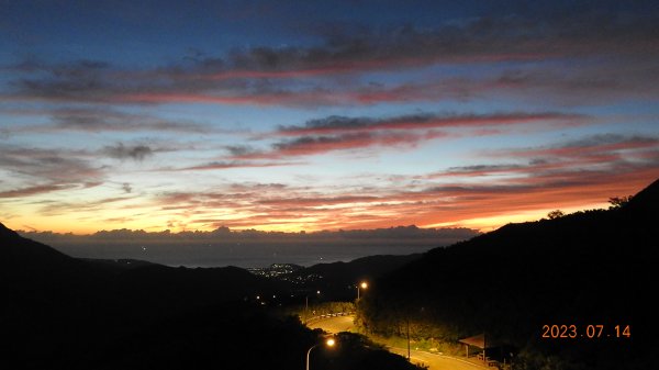 雲山水花鳥蝶 - 天龍國阿伯的日常，沒鳥也沒蝶槓龜 7/14&172217409