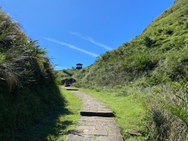 新北：草嶺古道2746969