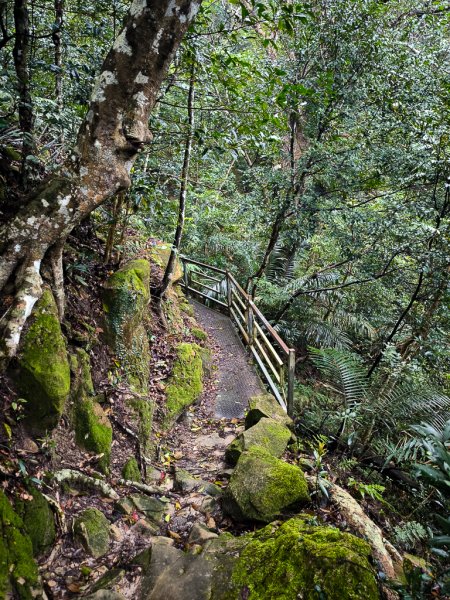2025-03-08 汶水三山：金童山、汶水山、玉女山 連走2736497