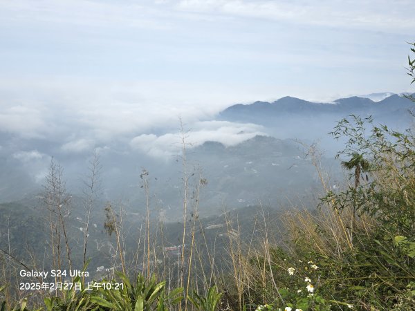 2025-02-27二延平步道2725419