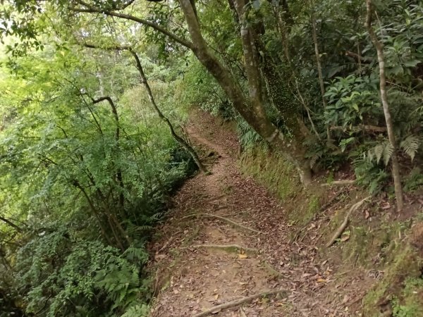 平溪區淡蘭山徑-平湖西步道+內平林山+東步道O型2769918