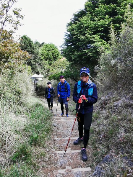 一日大霸群峰之高山杜鵑看好看滿 ( 大霸尖山、小霸尖山、伊澤山、加利山 )- 2021/5/21374758