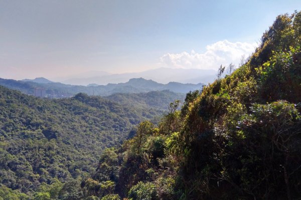 內溝山、老鷲尖山登山步道852772