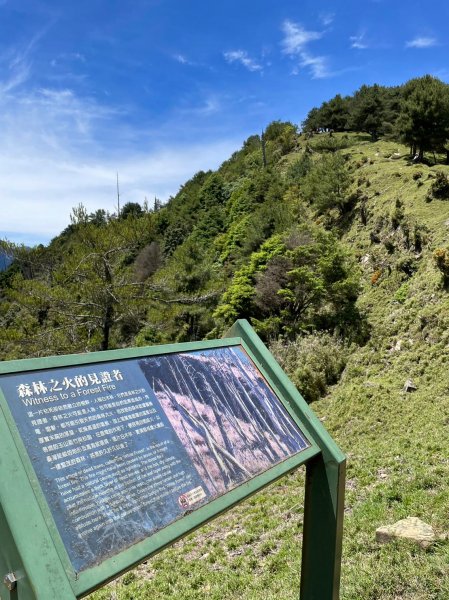 230622-縱走塔塔加三山（麟趾山、鹿林山、鹿林前山O繞）慶端午，美美兔凌晨3:30出門，挑戰中級2195636