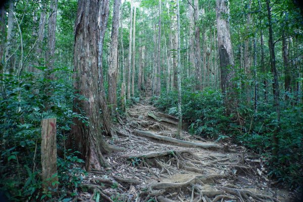 新竹 尖石 內鳥嘴山2899160