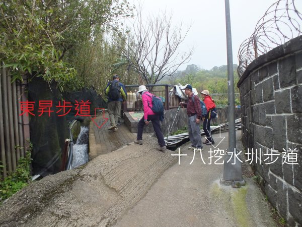 北投區陽峰古道+東昇步道+鼎筆橋步道十八挖水圳步道+猴崁古道+青春嶺步道+大屯瀑布8字走2775645