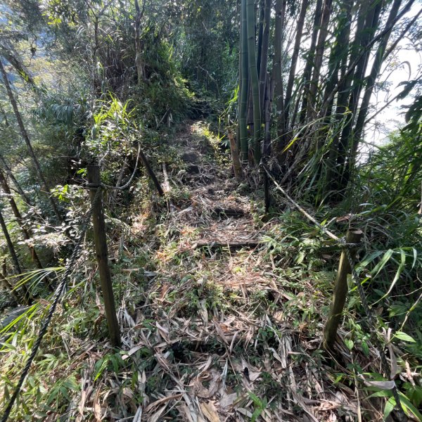 20250822_集集大山（南投小百岳）2941198