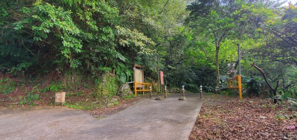 2022-03-12三角崙山登山步道1637856