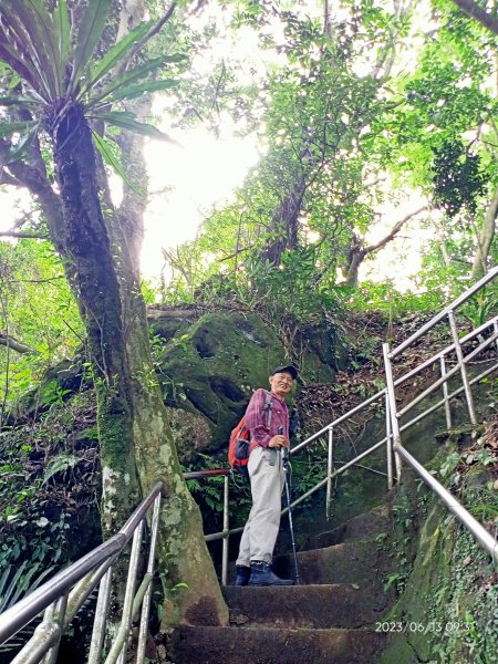 【臺北大縱走 6】象山公園→妙高台→拇指山頂峰登山口→南港山南峰→南港山→九五峰→中華科技大學2183580