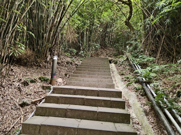 [百山百鳥尋旅-15/15] 2025_0929 硬漢嶺步道(觀音山)2900990