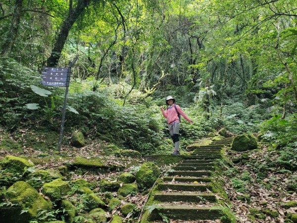 微笑山線：【五分山系】平溪小黃山段2839522