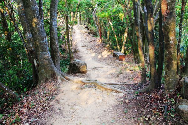 中和步道導引 (烘爐地路段) - 山林健走&名廟參拜 兩相宜 !185641