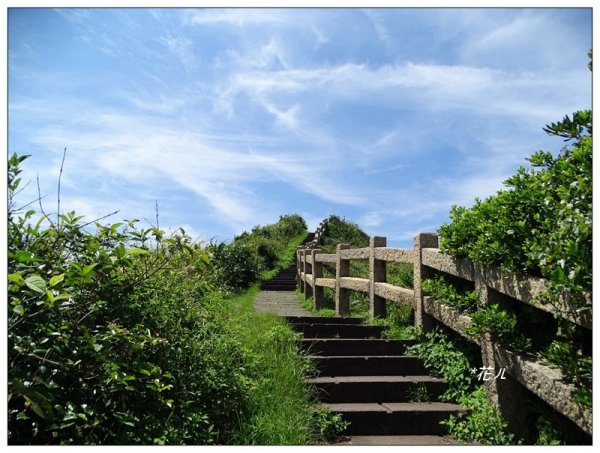 瑞芳/鼻頭角步道