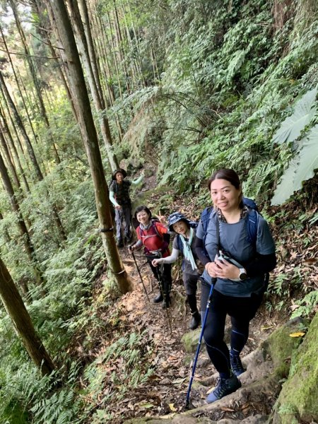 新竹五指山步道2215652