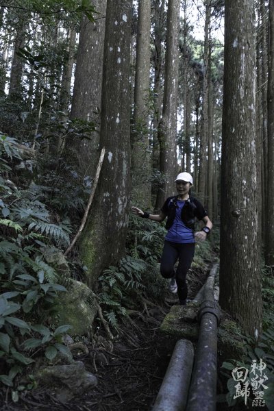 20241228之向天湖山 加里山 哈堪尼山 虎山西南峰 南大龜山 三角湖山2688714