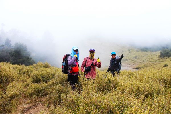 閂山、鈴鳴山 ~ 山巔雲端 , 與美麗山林307153