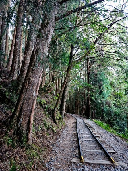 特富野古道-2024嘉遊好步道．來嘉走走2674366