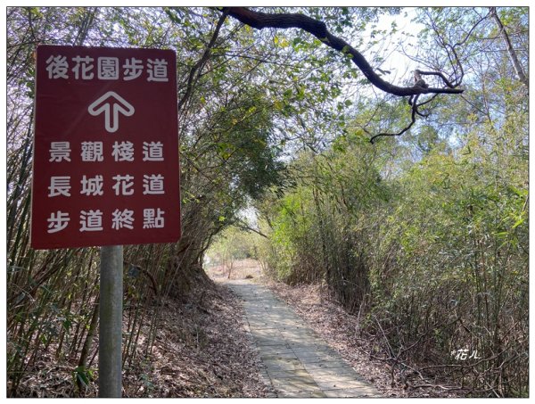 老崎古道、老崎坪頂山 (頭份)2737198